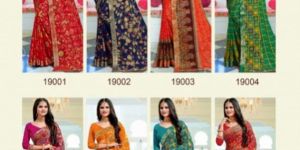 Surat Saree