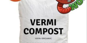 Vermicompost