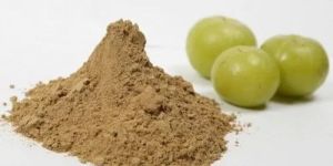 Dried Amla Powder