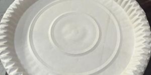 Biodegradable Paper Plate