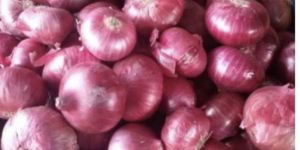 Red Onion