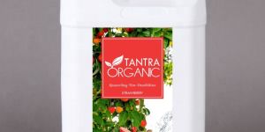 Strawberry Room Freshener