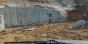 Platinum White Granite