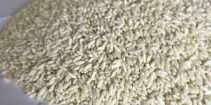 Raw Fortified Rice Kernels
