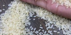IR 64 Broken Parboiled Rice