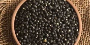 Sabut Urad Dal