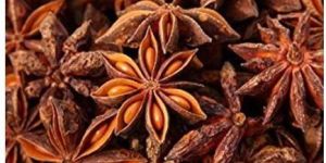 Star Anise