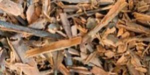 Vietnam Cinnamon
