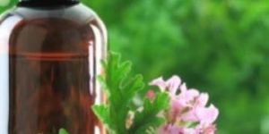 Geranium Grass Oil