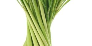 Fresh Lemongrass