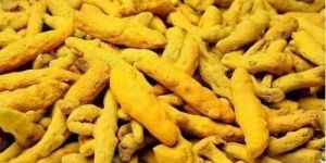 Organic Turmeric Finger