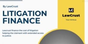 Litigation Finance - Lawyer