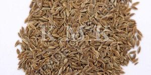 Balant Shepa Seeds