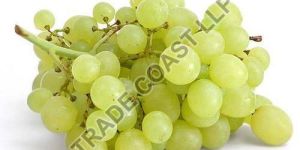 Fresh Grapes