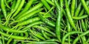 Fresh Green Chilli