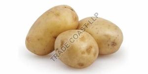 Fresh Potato