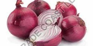 Fresh Red Onion