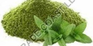 Pudina Powder