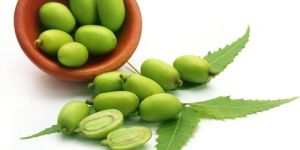 Neem Fruit