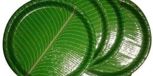 Disposable Corrugated Paper Plate