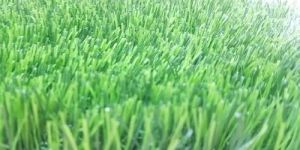 Artificial Turf Grass