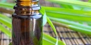Citronella Oil