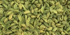 Green Cardamom