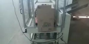 Sujyot Carton Erector