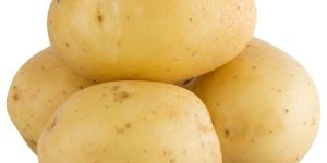 Potato
