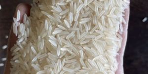 1121 Sella Rice