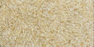 1509 Steam Pesticide Free Basmati Rice