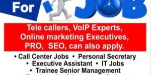 Tele Calling Executive Jobs