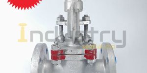 Cast Steel IBR Certified Globe Valve Class 150#