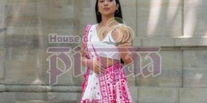 Party Wear Chaniya Choli