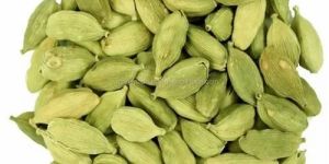 Green Cardamom