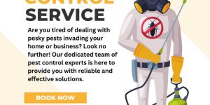 Pest Control Services