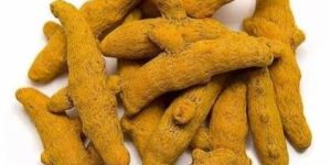 Whole Dry Turmeric Finger