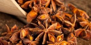 Star Anise Seeds