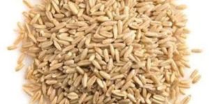 Kiln Dried Hulled Oats