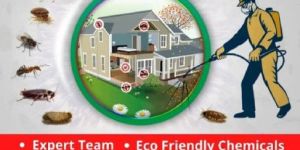 Pest Control Services