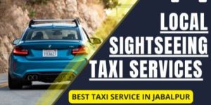 local sightseeing taxi-services