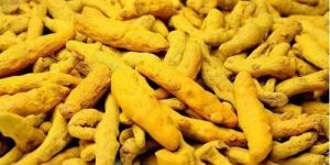Turmeric Finger