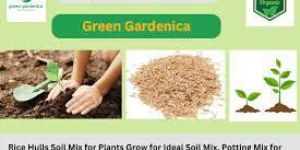 Vermicompost Fertilizer