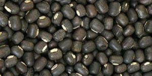 Whole Black Urad Dal