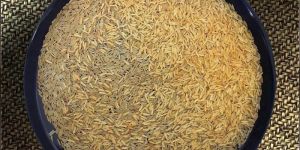1121 Parboiled Golden Sella Basmati Rice