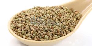 Carom Seed