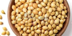 Coriander Seed