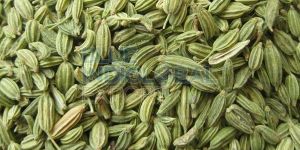Fennel Seed
