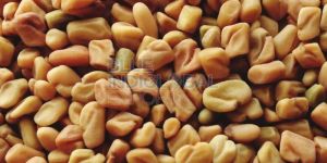 Fenugreek Seed