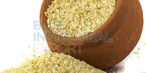 Little Millet Seed